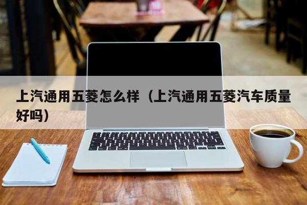 上汽通用五菱怎么样（上汽通用五菱汽车质量好吗）
