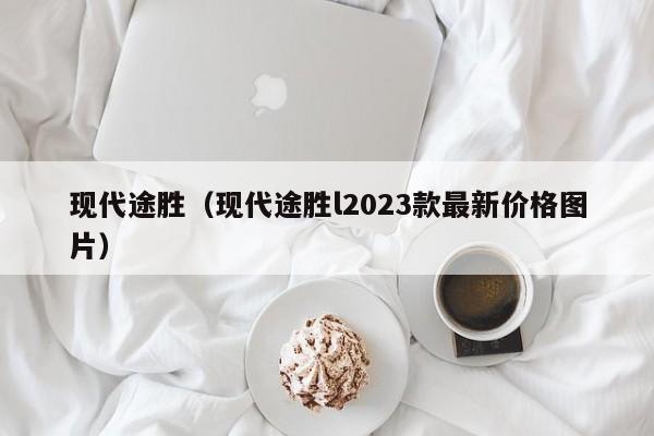 现代途胜（现代途胜l2023款最新价格图片）