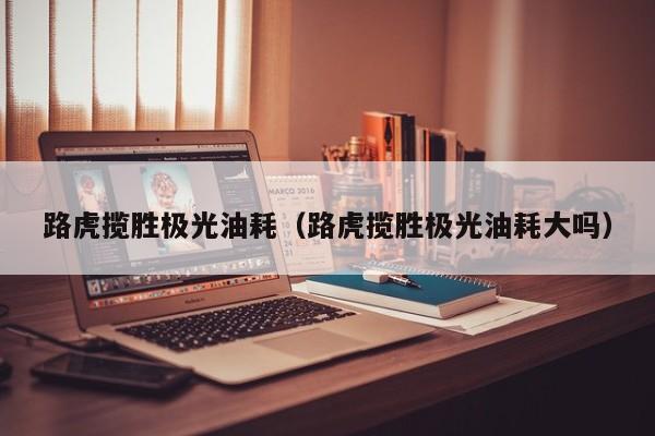 路虎揽胜极光油耗（路虎揽胜极光油耗大吗）