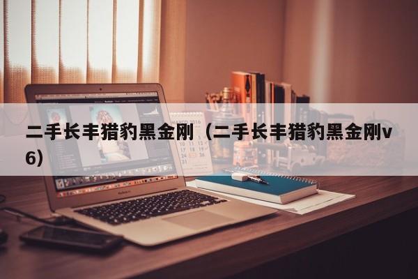 二手长丰猎豹黑金刚（二手长丰猎豹黑金刚v6）