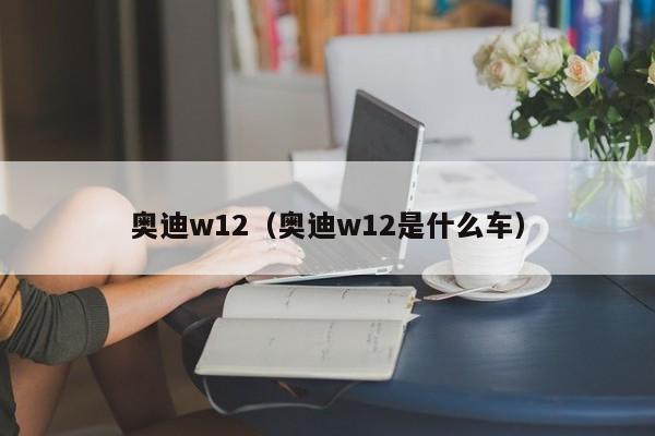 奥迪w12（奥迪w12是什么车）