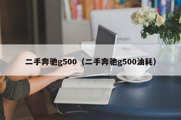 二手奔驰g500（二手奔驰g500油耗）