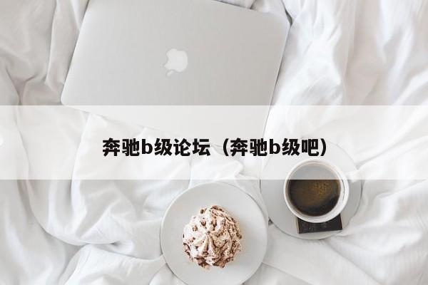 奔驰b级论坛（奔驰b级吧）