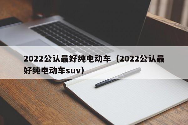 2022公认最好纯电动车（2022公认最好纯电动车suv）