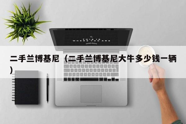 二手兰博基尼（二手兰博基尼大牛多少钱一辆）