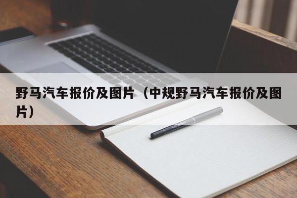 野马汽车报价及图片（中规野马汽车报价及图片）