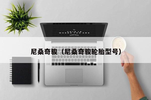 尼桑奇骏（尼桑奇骏轮胎型号）
