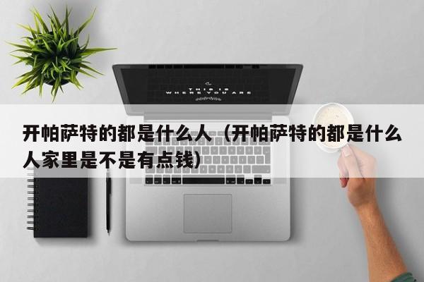 开帕萨特的都是什么人（开帕萨特的都是什么人家里是不是有点钱）