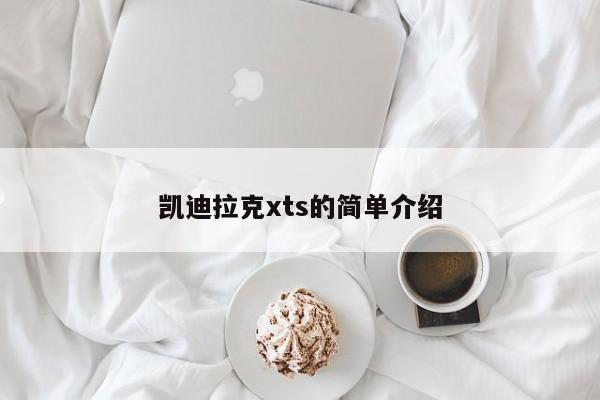 凯迪拉克xts的简单介绍