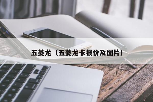 五菱龙（五菱龙卡报价及图片）