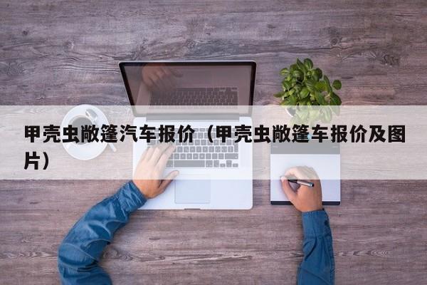 甲壳虫敞篷汽车报价（甲壳虫敞篷车报价及图片）