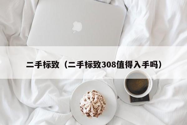 二手标致（二手标致308值得入手吗）