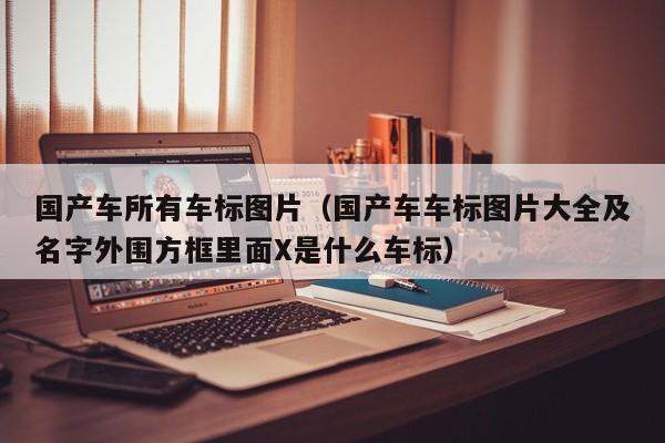 国产车所有车标图片（国产车车标图片大全及名字外围方框里面X是什么车标）