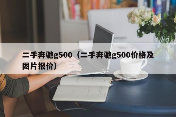 二手奔驰g500（二手奔驰g500价格及图片报价）