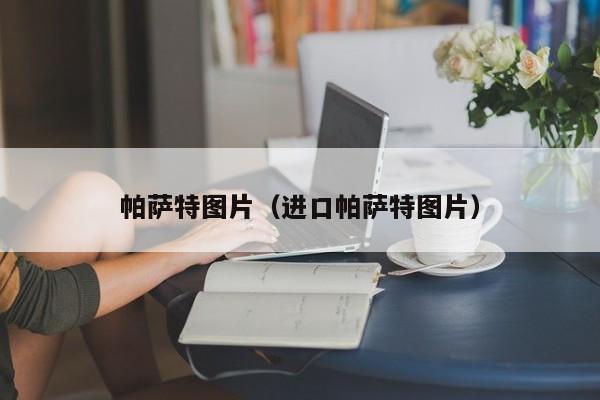 帕萨特图片（进口帕萨特图片）