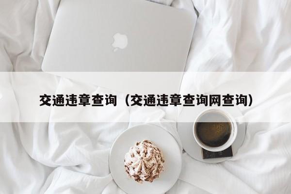 交通违章查询（交通违章查询网查询）