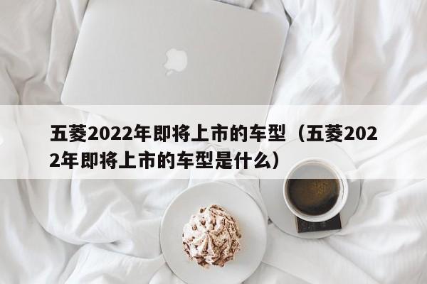 五菱2022年即将上市的车型（五菱2022年即将上市的车型是什么）