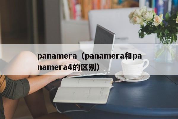 panamera（panamera和panamera4的区别）