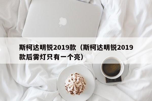 斯柯达明锐2019款（斯柯达明锐2019款后雾灯只有一个亮）