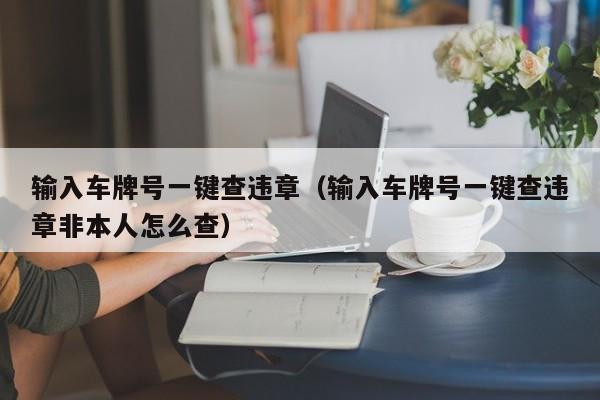 输入车牌号一键查违章（输入车牌号一键查违章非本人怎么查）