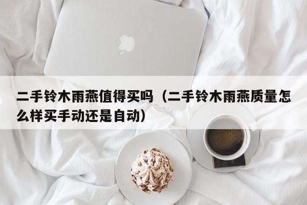 二手铃木雨燕值得买吗（二手铃木雨燕质量怎么样买手动还是自动）