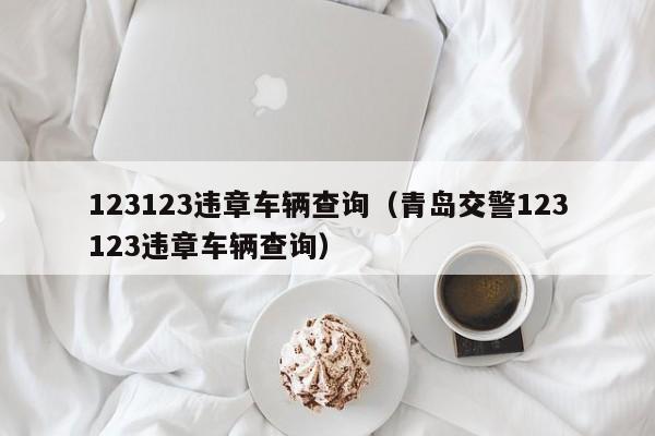 123123违章车辆查询（青岛交警123123违章车辆查询）