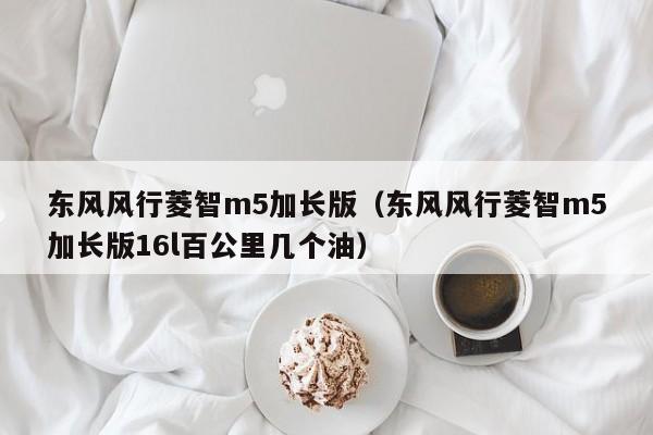 东风风行菱智m5加长版（东风风行菱智m5加长版16l百公里几个油）