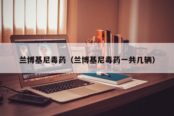 兰博基尼毒药（兰博基尼毒药一共几辆）