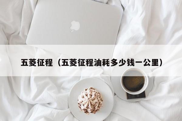 五菱征程（五菱征程油耗多少钱一公里）