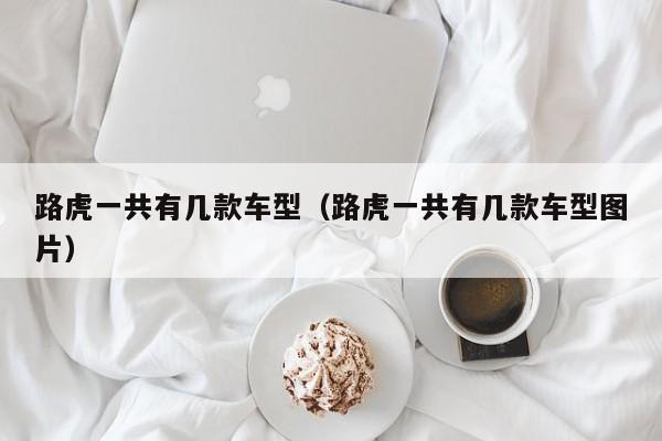 路虎一共有几款车型（路虎一共有几款车型图片）