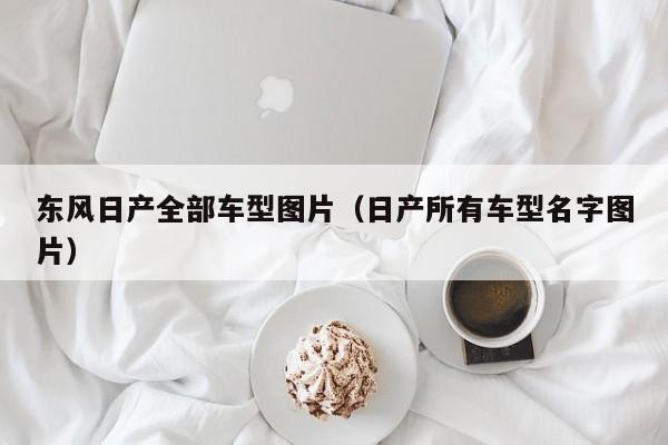 东风日产全部车型图片（日产所有车型名字图片）