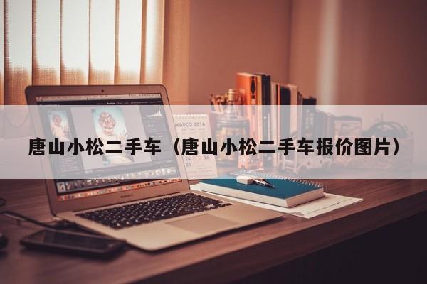唐山小松二手车（唐山小松二手车报价图片）