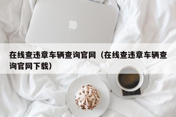 在线查违章车辆查询官网（在线查违章车辆查询官网下载）