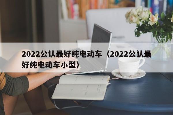 2022公认最好纯电动车（2022公认最好纯电动车小型）
