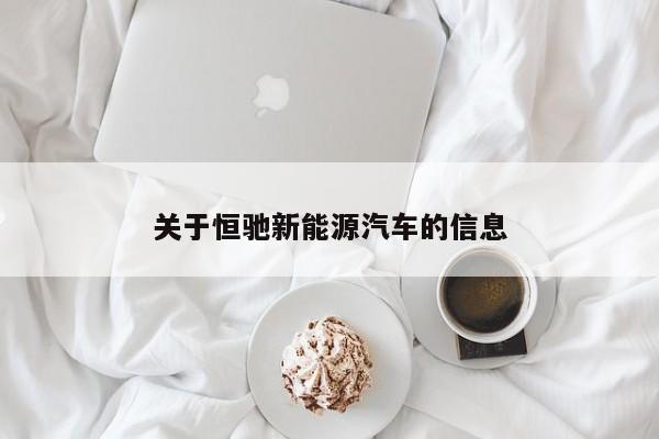 关于恒驰新能源汽车的信息