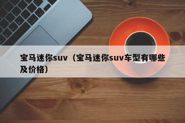 宝马迷你suv（宝马迷你suv车型有哪些及价格）