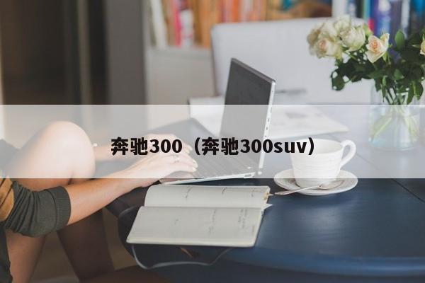 奔驰300（奔驰300suv）