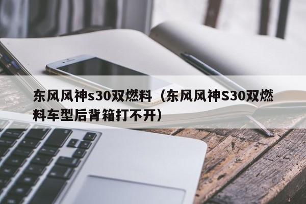 东风风神s30双燃料（东风风神S30双燃料车型后背箱打不开）